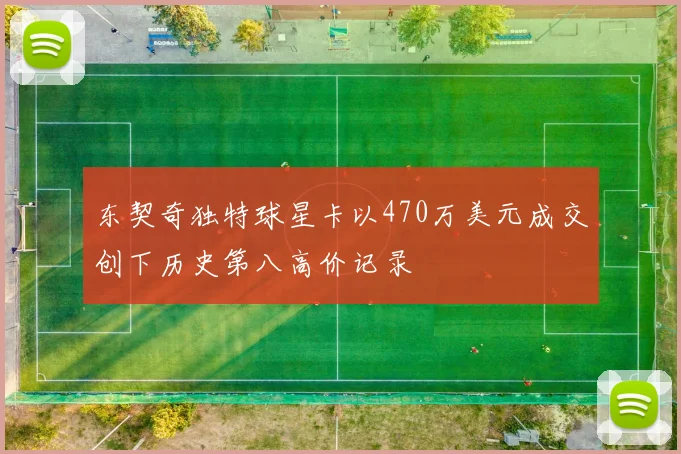 东契奇独特球星卡以470万美元成交创下历史第八高价记录