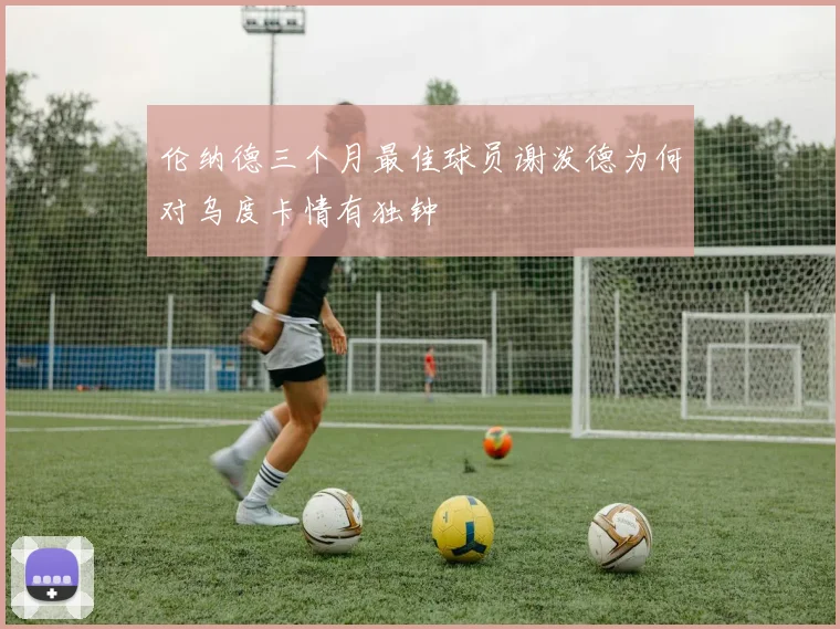 伦纳德三个月最佳球员谢泼德为何对乌度卡情有独钟