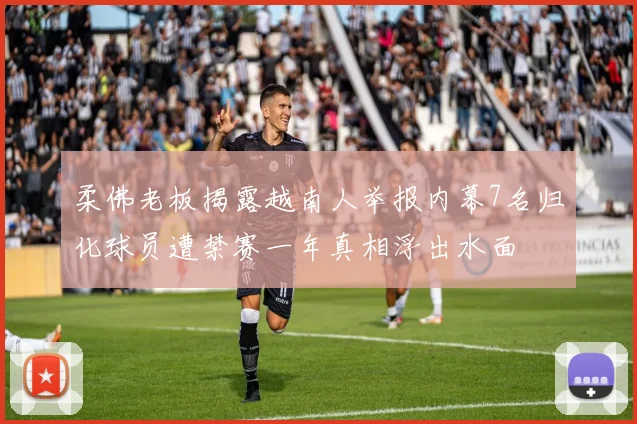 柔佛老板揭露越南人举报内幕7名归化球员遭禁赛一年真相浮出水面