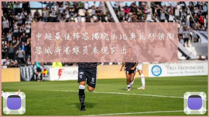 中超最佳阵容揭晓法比奥瓦科领衔蓉城海港球员表现突出