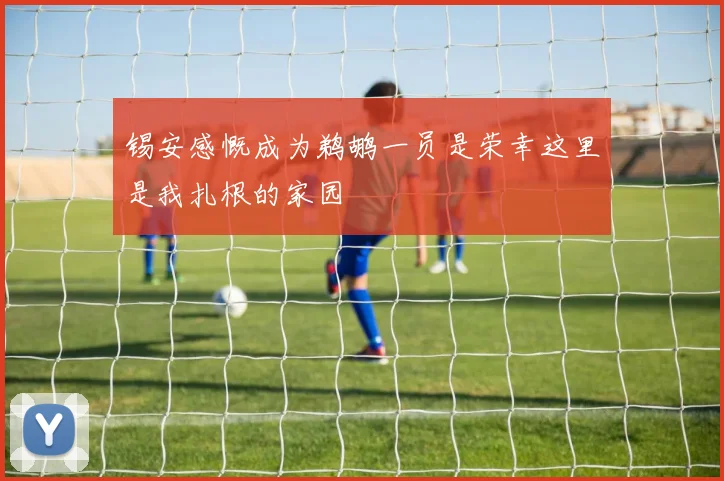 锡安感慨成为鹈鹕一员是荣幸这里是我扎根的家园