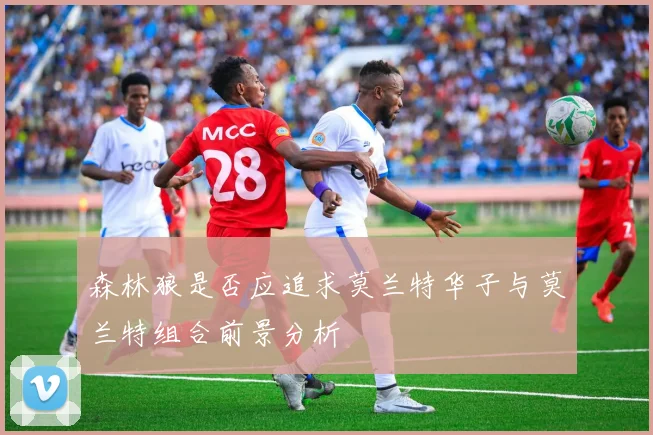 森林狼是否应追求莫兰特华子与莫兰特组合前景分析