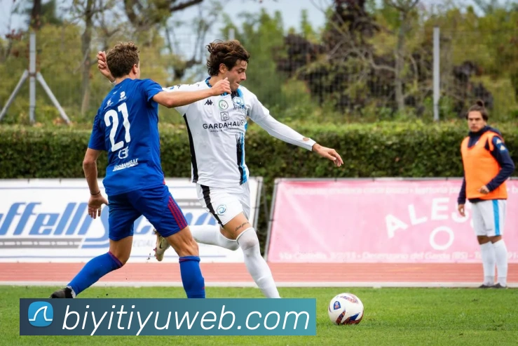 必一体育发展历程